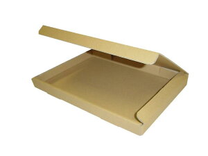 �˃p�b�N:�_���{�[�����䂤�p�P�b�g�E�N���b�N�|�X�g�p(�i�{�[����)A4�T�C�Y100��(�O��:325×240×29mm)(3�~����)