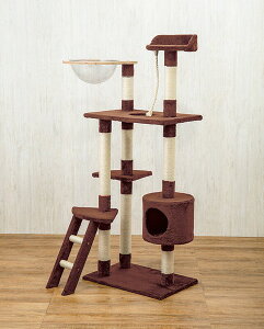 Lbg^[ L[U[ |C^[t ȃXy[X X Lbg^[ L u ˂ L^[ lR^[  X ȃXy[X XLbg^[ nbN ܂Ƃ 