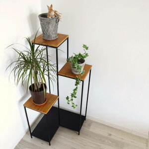 i 3it[X^h v^[X^h rt ؐ ACA VFt v^[bN t[bN TChe[u I ԑ ~je[u AR[X^h 3iR[i