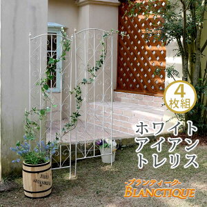 av[gyizueB[N zCgACAgX 4g  AeB[N _ ACAtFX CeA Ƌ VR  JtF k gX fUC