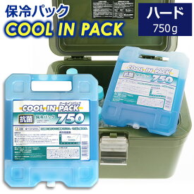 クールインパック ハード 750g 保冷パック 保冷剤 日本製