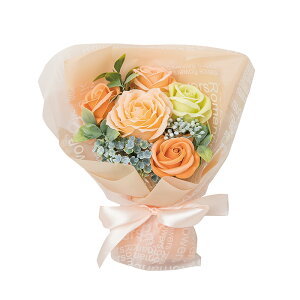 \[vt[ Mtg GKg~ju[P ͂Ȃ ԑ ΂ u[P 킢 蕨 j  d a j ̓ ̓ zCgf[ oYj w  AE 