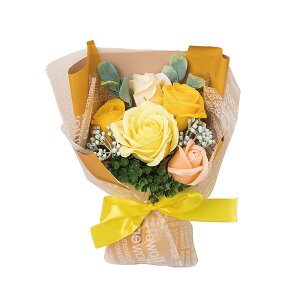 \[vt[ Mtg GKg~ju[P ͂Ȃ ԑ ΂ u[P 킢 蕨 j  d a j ̓ ̓ zCgf[ oYj w  AE 