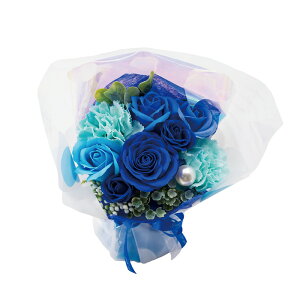 \[vt[ Mtg teB[ ~ju[P ͂Ȃ ԑ ΂ u[P 킢 蕨 j  d a j ̓ ̓ zCgf[ oYj w  AE 