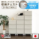 収納チェスト 壁付 壁付収納チェスト 3段 4段 5段 中が透けない キャスター付き 脚付き プラスチック 引き出し収納 収納ケース 衣装ケース 収納ボックス 衣類収納 キッチン収納 ランドリー収納 日本製 国産 【送料無料】