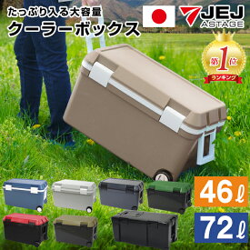 クーラーボックス 限定カラー 46L ツートンカラー 大型 収納ボックス 水抜き栓 ミリタリー クーラーバッグ キャンプ用品 フェス レジャー アウトドア 海 バーベキュー BBQ 便利 釣り 防災 ペットボトル JEJアステージ【送料無料】