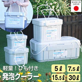 発泡クーラー クーラーボックス 5L 7.5L 15.5L 30L 簡易保冷 発泡スチロール グレー コンパクト 小型 一人用 ミニ かわいい かっこいい おしゃれ 保冷力 クーラーバッグ 部活 キャンプ用品 アウトドア レジャー 海 BBQ 釣り お弁当 ペットボトル JEJアステージ【送料無料】