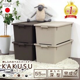 収納ボックス 収納ケース フタ付き キャスター付き プラスチック おしゃれ 白 黒 ホワイト ブラック 衣替え 押入れ 衣装ケース 衣類 タオル 洋服 おもちゃ クローゼット リビング JEJ 限定カラーカクス 55深 コロ付