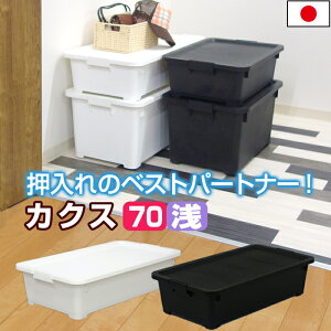 衣装ケース ベッド下の通販 価格比較 価格 Com