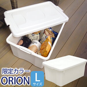 JEJ [{bNX t^t J[ II L V{ y{z Ȃ Vv@@IV