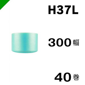 v`v`@GRn[j[yH37Lcz300mm×42M 40@YƁi ՂՂ / [ / GALbv / GA[Lbv / GApbL / GANbV /  /  / z /  / ɏՍ / 