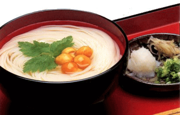 新着入荷の通販 楽天市場】稲庭うどん Kマート美味しさ発見隊 : 3kg（約30人前） うどん