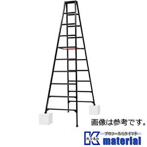 yPzyszylzszJH BLACK LABEL ͂pr RYZB-30a [HSG001181]