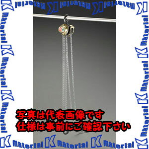 �yP�z�y����s�z�y�l��z���s�zESCO(�G�X�R) 500kgx2.5m �`�F�[���u���b�N EA987AA-20 [ZES074107]