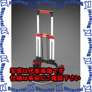 yszylzszESCOiGXRj@291x484x1080mm/100kg@nfB[J[g@EA520AE-11[ESC020223]