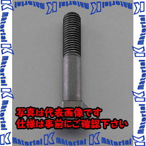 yszylzszESCO(GXR) M20x 80mm [xE]Zp{g(1) EA949JC-4080 [ZES058335]