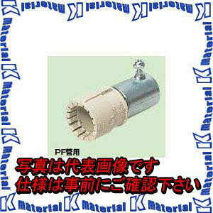 H MFSCP-54G 1 CPA_v^[ G^Cv PF-|d PF54p x[W [MR06046-1]