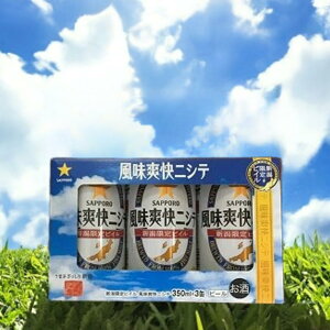 ujVe@350ml 3ʔ@Tb|r[@V@Ntgr[@nr[@Vł킦ȂIIyꍫ48ʂ܂Łz