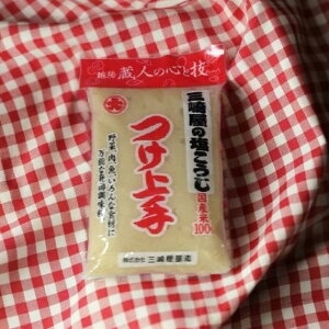 @@O艮II@600gy120N̓`zyyVňl풆zyXlCizyzy@ÎzygÎz