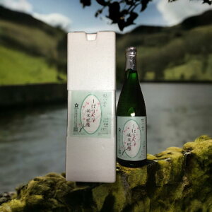 yzy29Nnzԁ@i720mlyzyVzyċzyƈ݁@݁zy1997N4F①Ǘzy{YĎgpzyAX`[zyi