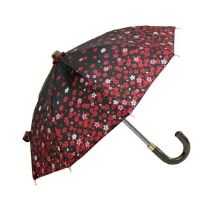 ~j`AP a@Č@@@ׂɍ@̕@@ʂ@a @~j  8{ ~j qP LbYP Mtg TCY P  22cm P a25cm P JP P 