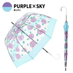 P fB[X rj[P @P@ o[hP[W^ AWTC 65CM Wv ۂ݂̂o[hP[W^ 킢@~J@ʋ΁@ʊw@[