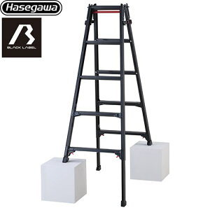 [RYZB-15a] Lk͂pr RYZB 5i JH ͂Er ubN[xV[Y őgpʁF100kg ^b`o[ A~ Vg[` ubN yzyʔz