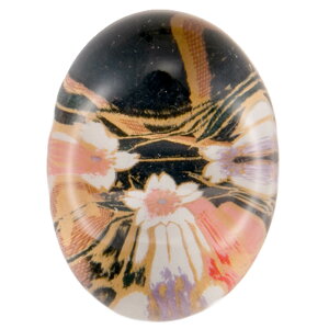 KX  ͂ H/ Ɏquiэj /Ɩp HX  Mtg 蕨 o