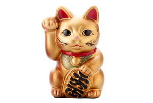 u CeA lR L J^  N/ gLij /G rO  JXj ̓ j v[g 蕨