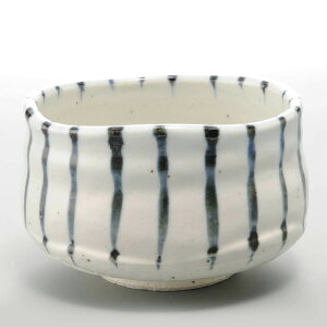 q / {\ q /  K Mtg 蕨 v[g