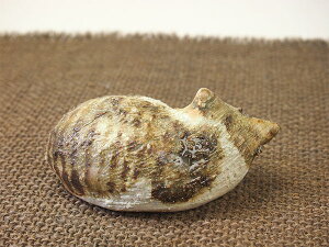 / v킸G肽Ȃ郊AȖѕ݂̓̃lRi₷j  /aH