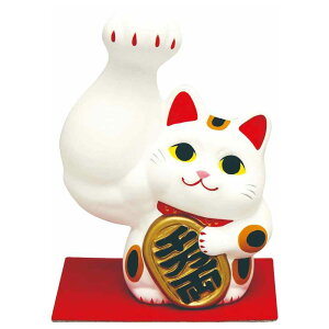 L u ؓ }bX }b` {fBr/ r܂召L() E /˂ObY ނނ p v[gp