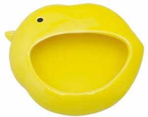 e[uEFA  ܗ/ Ђ悱񂨂܂ /ƒp v[g ̓