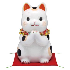 u CeA lR / ʊGӂ˂LiEj /J^  JXj N 蕨