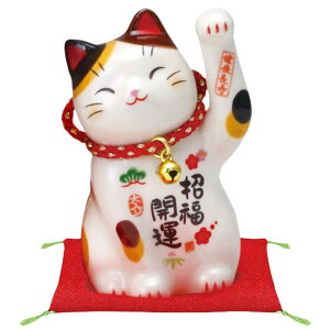 u CeA lR L/ ʊGJ^L(tE) /J^  N G rO  JXj 蕨