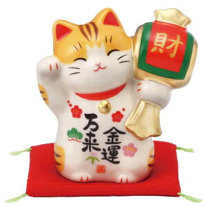 L u ܂˂˂/ ^L(Ǝ) /JXj J^ N lucy cat v[g 蕨