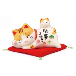 L u ܂˂˂/ L(eqj /JXj J^ N lucy cat v[g 蕨