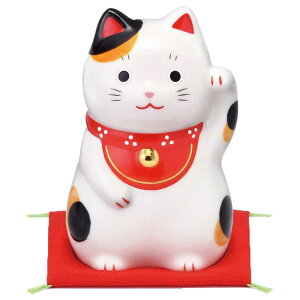 L u ܂˂˂/ ŏL(݂E) /JXj J^ N lucy cat v[g 蕨