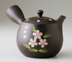 bsO/ D}{ /Mtg 蕨 v[g hV̓@Vzj o ̓ ̓