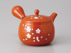 bsO Mtg 蕨 v[g/ ~D}{ /hV̓@Vzj o ̓ ̓