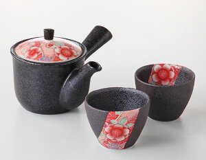 bsO/ FT }{ /Mtg 蕨 v[g hV̓@Vzj o ̓ ̓