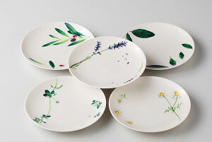 bsO/ ][g@v`P[LMZbg /Mtg 蕨 v[g hV̓@Vzj o ̓ ̓