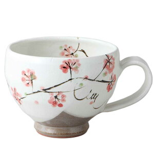 bsO Mtg/ sN W{tX[v /蕨 v[g hV̓@Vzj o ̓ ̓