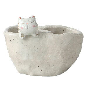 bsO Mtg/ ˂̎葢֑}@g /蕨 v[g hV̓@Vzj o ̓ ̓