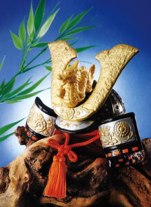 ܌l` RpNg    Ԃ/ 늕 /ǂ̓ [߂̐ߋ  j 蕨 v[g