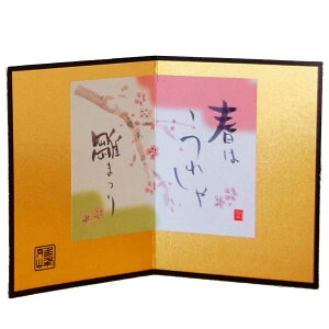 up RpNg ̂/ ipV[j /~j`A CeA