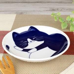 H y  M 13.5cm/ ˂4.0M n` /yH  L lR  ƒp a ₵ 蕨 v[g p