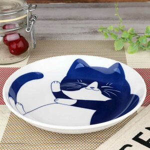 H y  M 16.5cm/ ˂5.0M n` /yH  L lR  ƒp a ₵ 蕨 v[g p