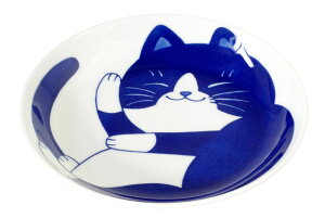 y  M 20cm/ ˂n` 6.0M /L lR  ƒp a ₵