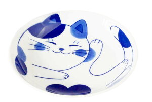 y  M 20cm/ ˂~P 6.0M /L lR  ƒp a ₵